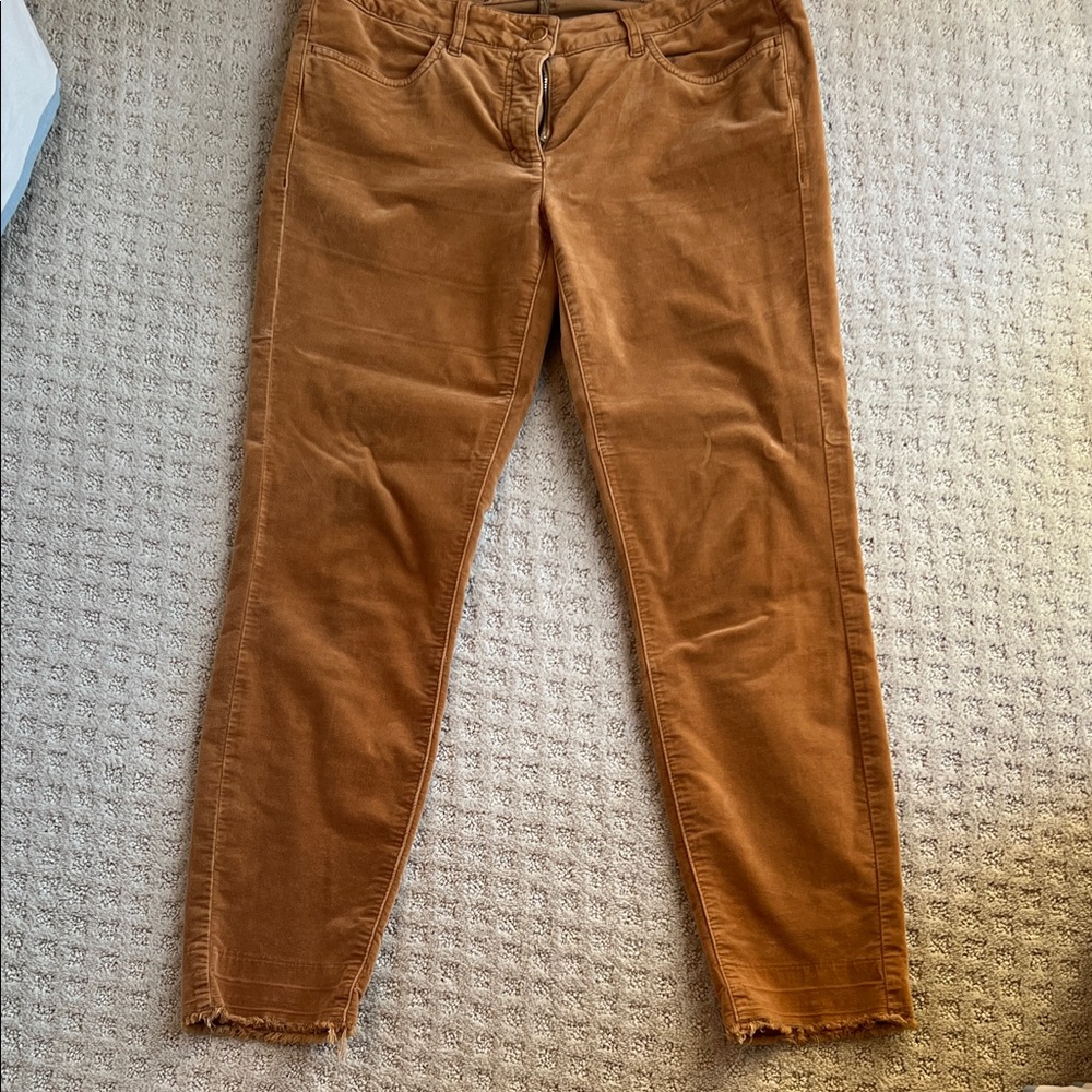 Louisa Cerano gold velour straight leg pants. Size 10.